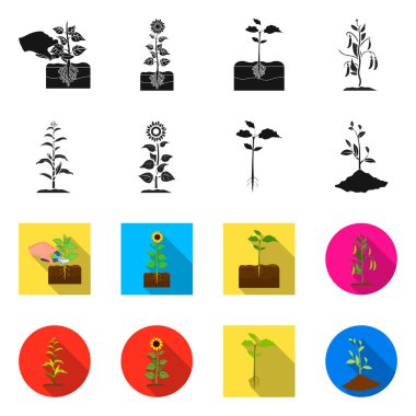 Bitki ve fasulye sembolü yalıtılmış nesne. Bitki ve işlem hisse senedi vektör çizim seti.