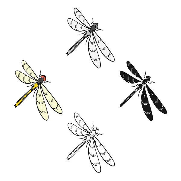 Una libellula, un insetto predatore Dragonfly volo invertebrato singola icona in cartone animato, nero stile vettore simbolo stock isometrico illustrazione web . — Vettoriale Stock
