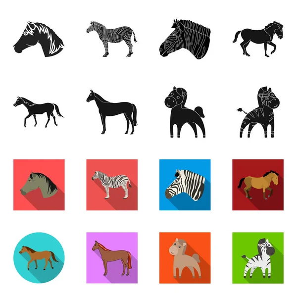 Isolated object of trot and running symbol. Collection of trot and clipart vector icon for stock. — Stock Vector