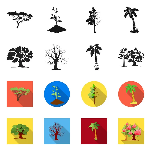 Objeto isolado de árvore e sinal de floresta. Coleção de árvore e símbolo de estoque verde de web . — Vetor de Stock