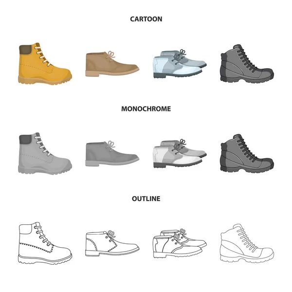 Design vectoriel de cuir et icône décontractée. Collection de cuir et symbole de stock formel pour toile . — Image vectorielle