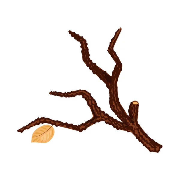 Illustration vectorielle du signe de branche et de pièce. Ensemble de branches et de déchets symbole de stock pour la toile . — Image vectorielle