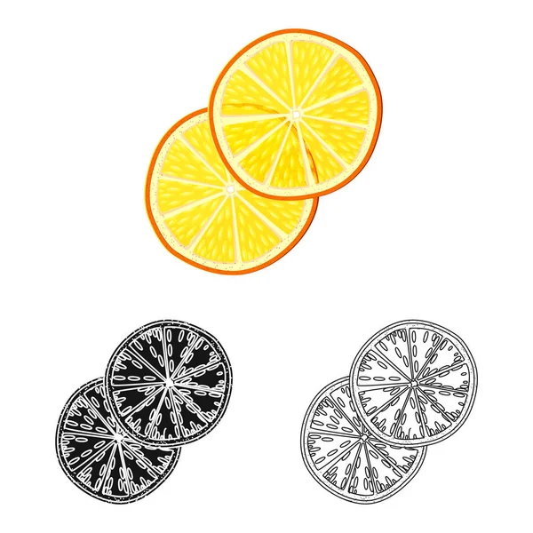 Objeto aislado de color naranja y símbolo seco. Conjunto de naranja y el icono del vector jugoso para la acción . — Vector de stock