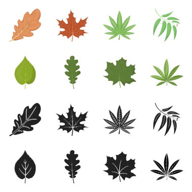 Vegan ve organik simge vektör tasarımı. Stok için vegan ve taze vektör simgesi seti.