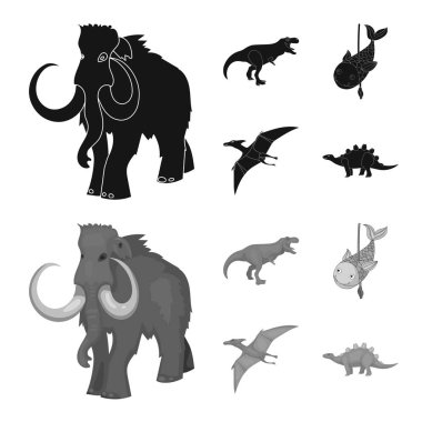 Hayvan ve karakter sembolü vektör tasarımı. Web için hayvan ve antik stok sembolü koleksiyonu.