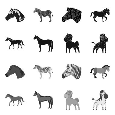 Trot ve çalışan sembolün vektör çizimi. Stok için trot ve clipart vektör simgesinin toplanması.