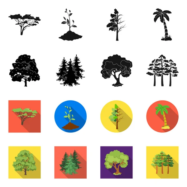 Projeto vetorial de árvore e ícone da floresta. Coleção de árvore e ilustração de vetor de estoque verde . — Vetor de Stock
