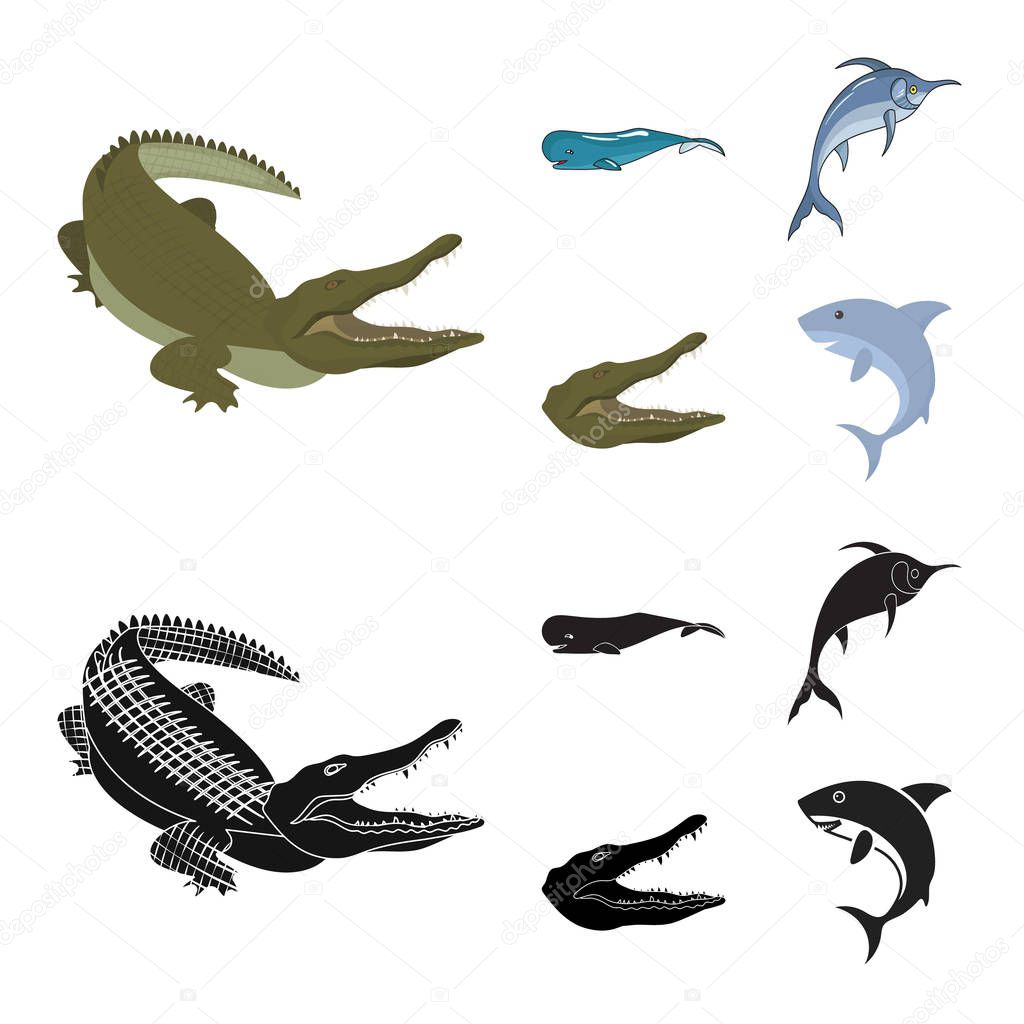 Isolated object of sea and ocean logo. Collection of sea and reptiles vector icon for stock.