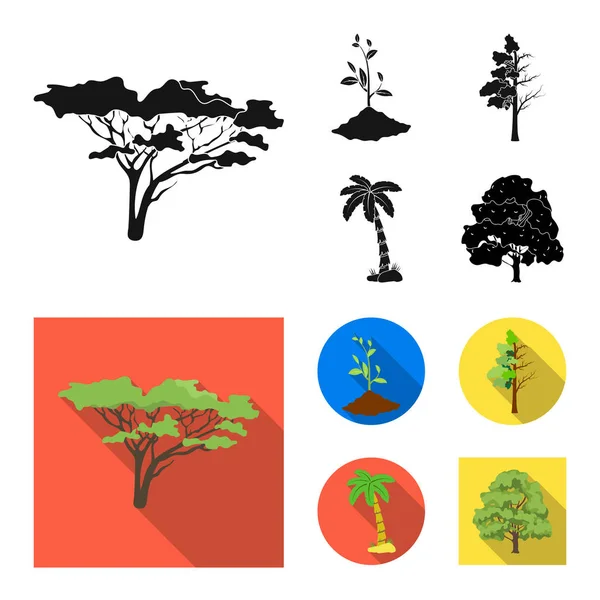 Μεμονωμένο αντικείμενο εικονιδίου δέντρου και δάσους. Σύνολο εικονιδίων δέντρου και πράσινου διάνυσμα για απόθεμα. — Διανυσματικό Αρχείο