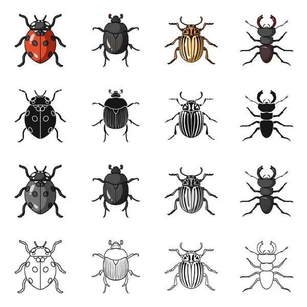 Isolated object of insect and beetle logo. Set of insect and halloween vector icon for stock. — Stock Vector