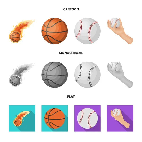 Geïsoleerde object van pictogram bal en voetbal. Set bal en basketbal vector pictogram voor voorraad. — Stockvector