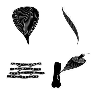 Vektör Illustration insan ve vücut simgesi. Stok için insan ve hücreler vektör simgesi seti.