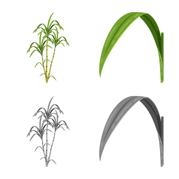 Diseño vectorial de la granja y la agricultura signo. Colección de la granja y el símbolo de stock de tecnología para la web . — Vector de stock