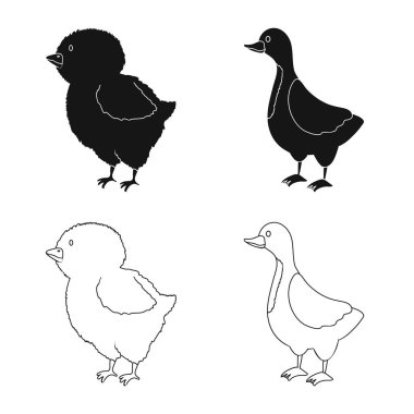 Üreme ve mutfak simge vektör tasarımı. Koleksiyon ıslahının ve web için organik hisse senedi simgesi.