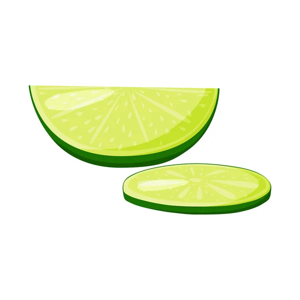 Isolated object of lime  and green  icon. Set of lime  and slice   stock vector illustration. — Stockový vektor