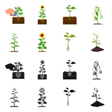 Bitki ve fasulye işareti vektör tasarımı. Bitki ve proses stok vektör çizim koleksiyonu.