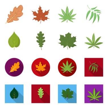 Vegan ve organik sembolü yalıtılmış nesne. Vegan ve taze stok vektör çizim koleksiyonu.