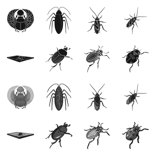 昆虫とカブトムシのロゴの隔離されたオブジェクト。ウェブ用昆虫とハロウィーンのストックシンボルのセット. — ストックベクタ