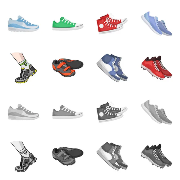 Illustrazione vettoriale di scarpa e simbolo sportivo. Raccolta di scarpe e stock fitness illustrazione vettoriale . — Vettoriale Stock