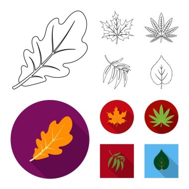 Vegan ve organik işareti vektör Illustration. Vegan ve taze stok vektör çizim seti.