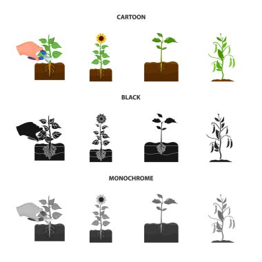 Bitki ve fasulye işareti yalıtılmış nesne. Hisse senedi için bitki ve işlem vektör simge kümesi.