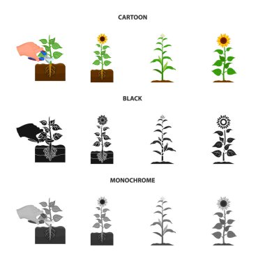 Bitki ve fasulye simgesinin vektör tasarımı. Stok için bitki ve proses vektörü simgesi koleksiyonu.