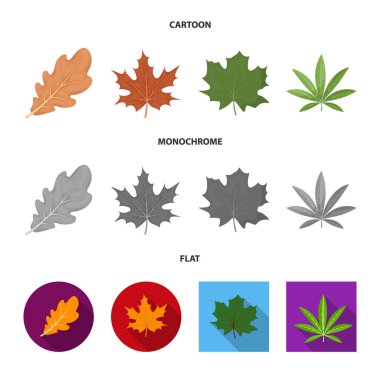 Vegan ve organik simge vektör Illustration. Vegan ve hisse senedi için taze vektör ikon koleksiyonu.