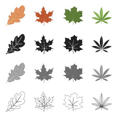 Vegan ve organik logo vektör Illustration. Vegan ve web için taze hisse senedi simgesi toplama.