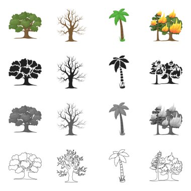 Ağaç ve orman logosu yalıtılmış nesne. Ağaç ve yeşil vektör simgesini hissenin koleksiyonu.