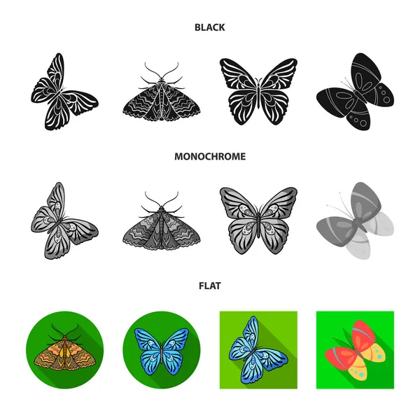 Vektorillustration der Farbe und des Frühlingssymbols. Farb- und Fliegenstock-Symbol für Web. — Stockvektor