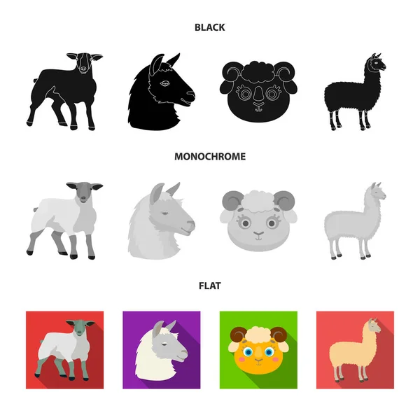 Objeto isolado do logotipo da ovelha e da cabra. Conjunto de ovelhas e ícone vetor feliz para estoque . — Vetor de Stock