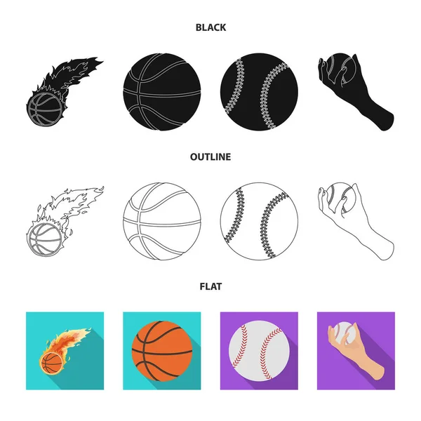 Geïsoleerde voorwerp van bal en voetbal icoon. Verzameling van bal en basketbal voorraad symbool voor web. — Stockvector