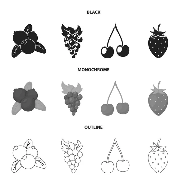 베리와 과일 로고의 벡터 그림입니다. 재고베리와 레드베리 벡터 아이콘의 컬렉션. — 스톡 벡터