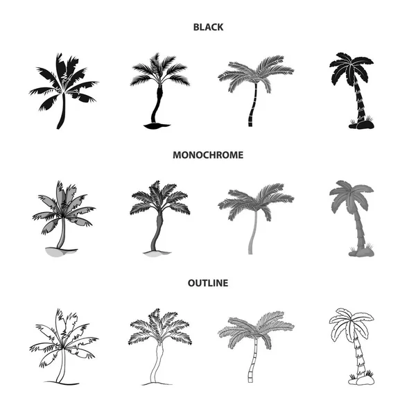 Diseño vectorial de árbol y logotipo de verano. Conjunto de árbol y símbolo de stock verde para web . — Archivo Imágenes Vectoriales