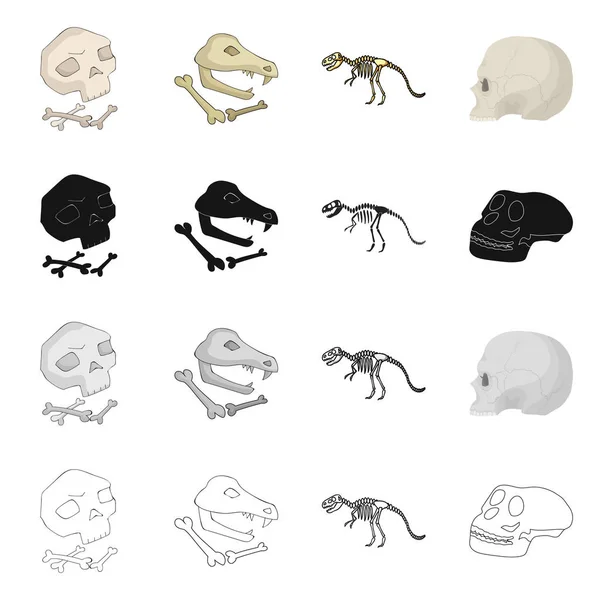 Objet isolé de squelette et icône de caractère. Collection de squelettes et illustration vectorielle de stock de Halloween . — Image vectorielle