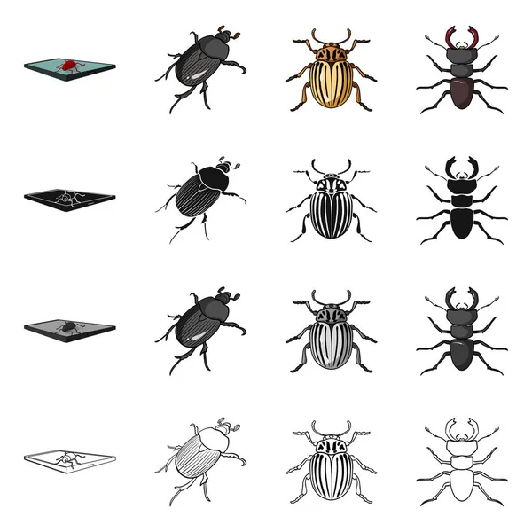 Vector design of insect and beetle logo. Collection of insect and halloween stock symbol for web. — Stock Vector