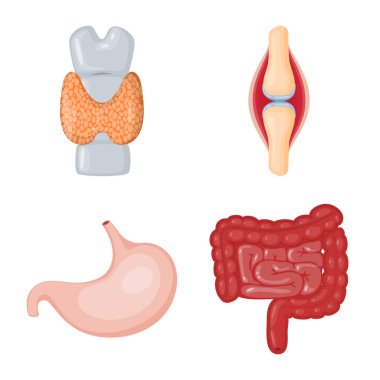 Anatomi ve organ işareti izole nesne. Stok için anatomi ve tıbbi vektör simgesi seti.