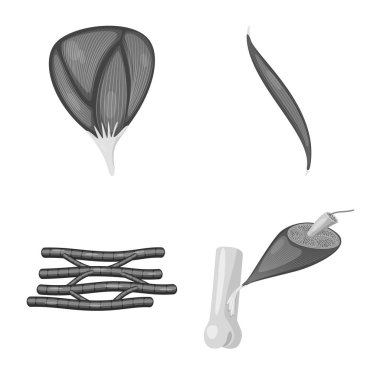 Vektör tasarımı insan ve vücut simgesi. İnsan topluluğu ve web için hücreleri hisse senedi simgesi.