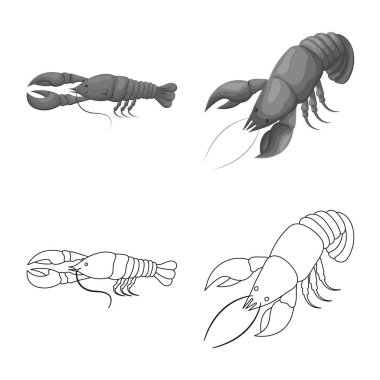 Meze ve okyanus sembolü yalıtılmış nesne. Meze koleksiyonu ve hisse senedi için incelik vektör simgesi.