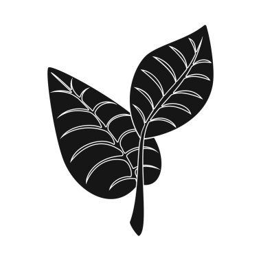 Vektör Illustration yaprak ve bitkiler logosu. Yaprak ve yeşil stok vektör çizim seti.