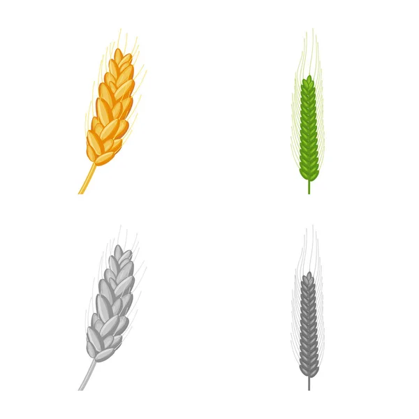 Векторная иллюстрация сельского хозяйства и логотипа сельского хозяйства. Набор векторных иллюстраций для сельского хозяйства и растительного фонда . — стоковый вектор