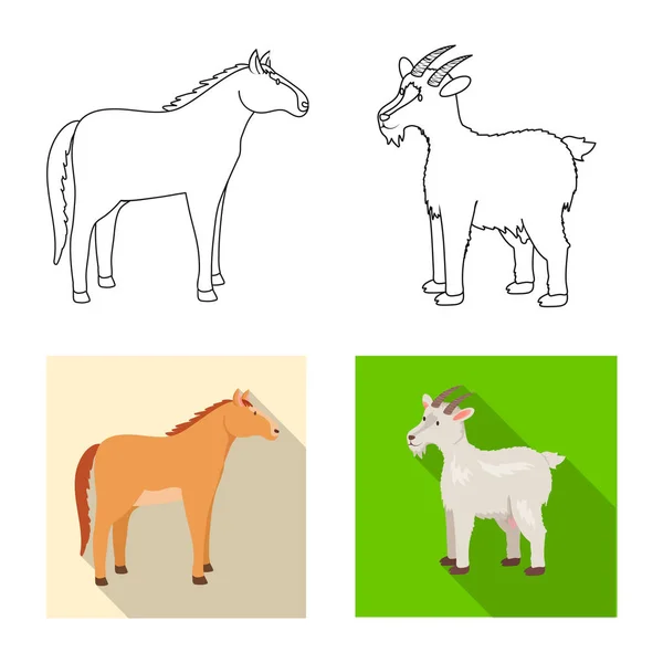 Vector design of breeding and kitchen  icon. Set of breeding and organic  stock symbol for web. — Stock Vector