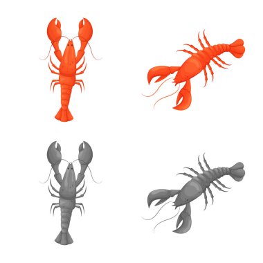 Meze ve okyanus sembolü yalıtılmış nesne. Meze koleksiyonu ve hisse senedi için incelik vektör simgesi.