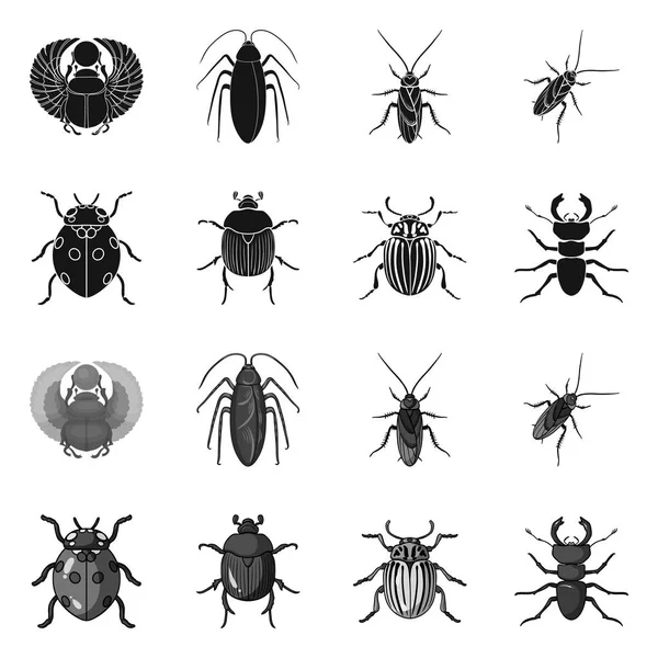 Vektorillustration des Insekten- und Käfersymbols. Sammlung von Insekten- und Halloween-Vektorillustrationen. — Stockvektor