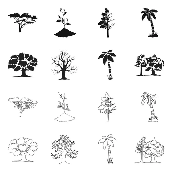 Ilustración vectorial del árbol y el símbolo del bosque. Conjunto de árbol y vector verde icono para stock . — Vector de stock