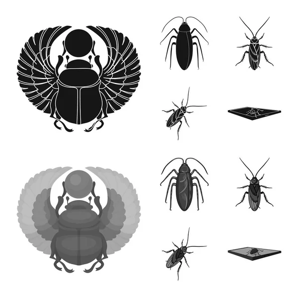 Illustration vectorielle du logo des insectes et des scarabées. Collection d'insectes et symbole de stock d'Halloween pour la toile . — Image vectorielle