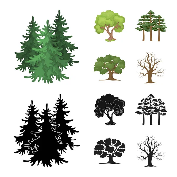 Vektor-Design von Baum und Wald-Symbol. Sammlung von Baum und grünem Vektorsymbol für Aktien. — Stockvektor