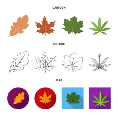 Vegan ve organik simge vektör tasarımı. Vegan ve taze stok vektör çizim koleksiyonu.