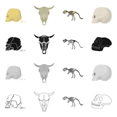 İskelet ve karakter sembolüvektör illüstrasyon. Stok için iskelet ve cadılar bayramı vektör simgesi kümesi.