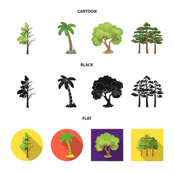 Objet isolé de signe d'arbre et de forêt. Collection de symbole d'arbre et de bouillon vert pour toile . — Image vectorielle